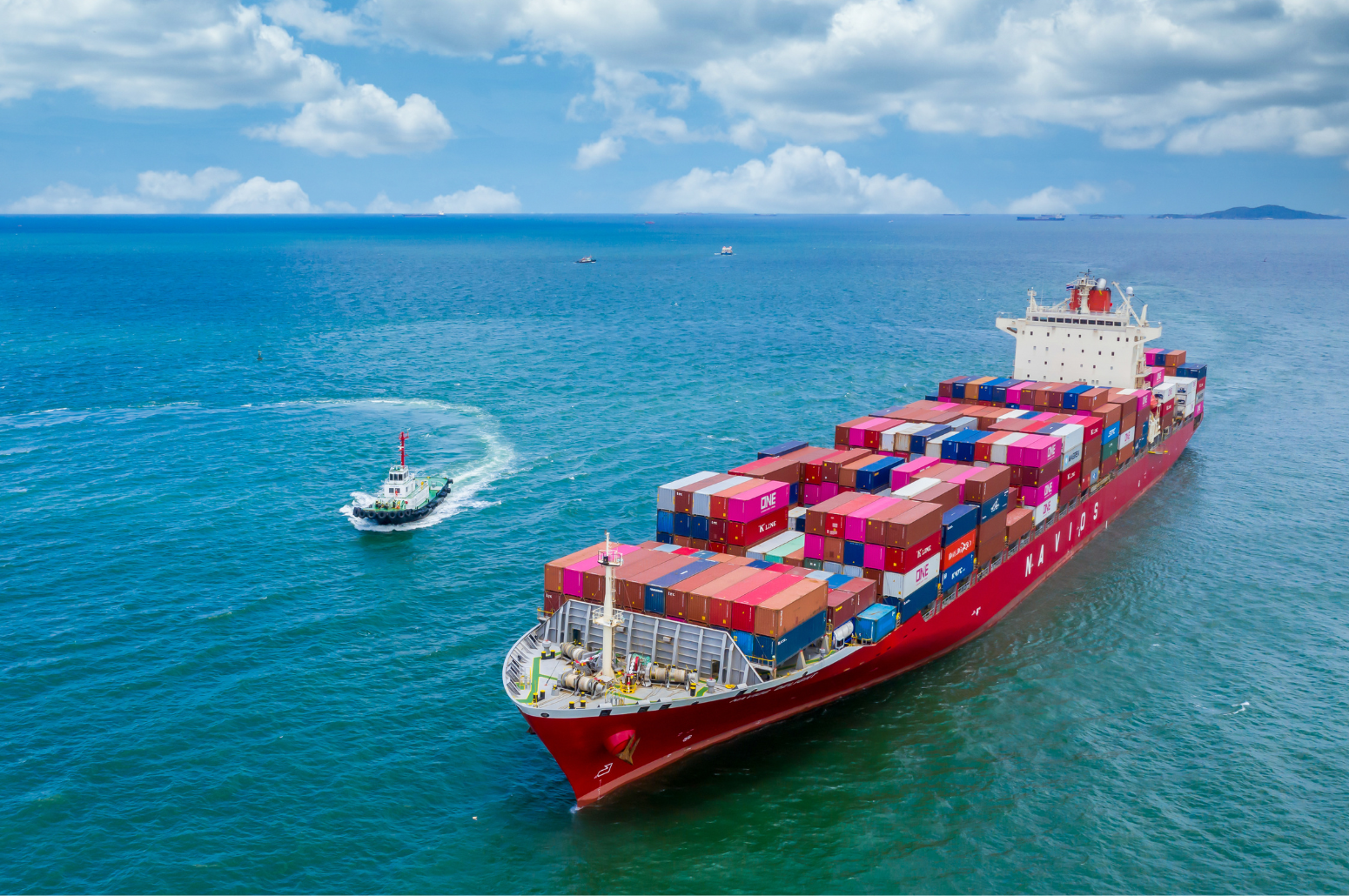 Customs & GST Services